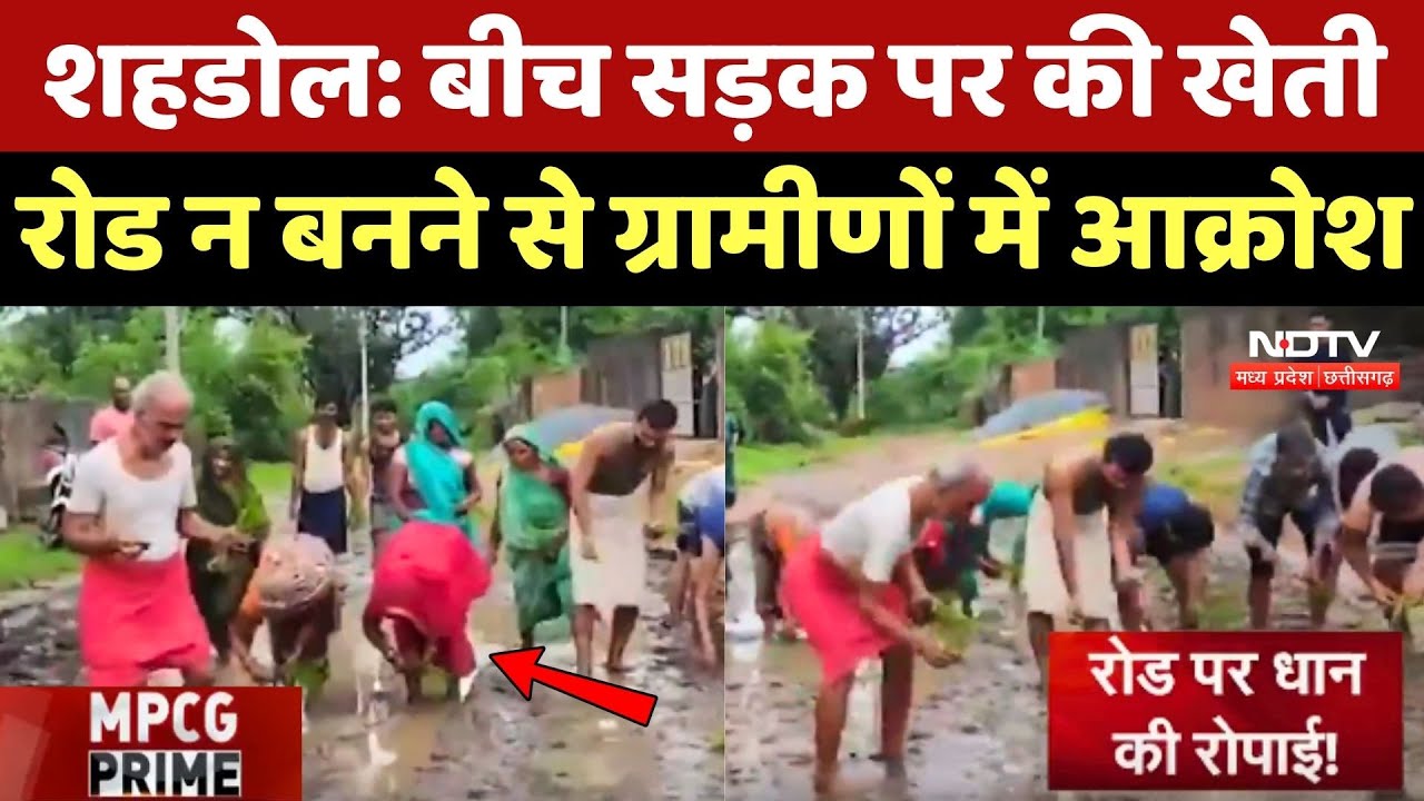 MP Unique Protest: बीच सड़क पर रोप दिया धान, वजह कर देगी आपको हैरान MP Unique Protest: बीच सड़क पर रोप दिया धान, वजह कर देगी आपको हैरान