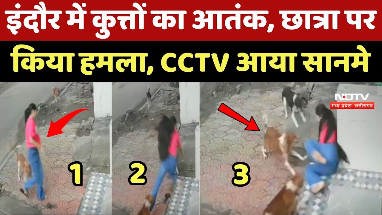 Dog Attack In Indore: कुत्तों का आतंक, Student पर किया हमला, CCTV आया सानमे