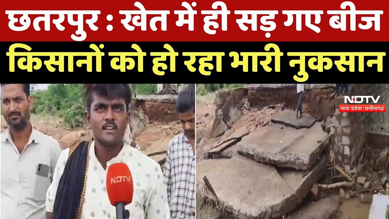 Chhatarpur News : खेत में ही सड़ गए बीज, Farmers को हो रहा भारी नुकसान