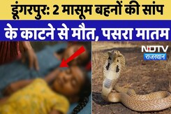 Dungarpur Snake Bite: 2 मासूम बहनों की सांप के काटने से मौत, पसरा मातम |Snake Bite Deaths | Top News Dungarpur Snake Bite: 2 मासूम बहनों की सांप के काटने से मौत, पसरा मातम |Snake Bite Deaths | Top News