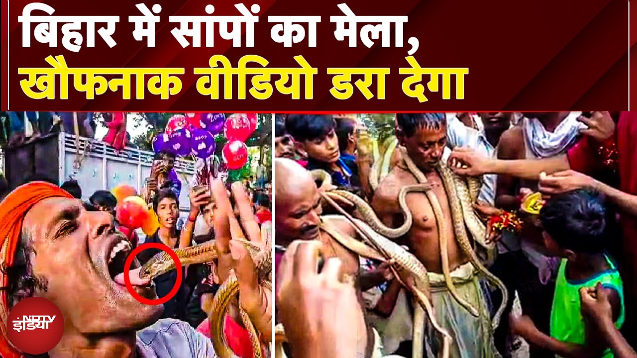 Nag Panchami 2025 पर थतिया विशहरी मंदिर से निकली सांपों के साथ भव्य जुलूस, देख रह जाएंगे दंग