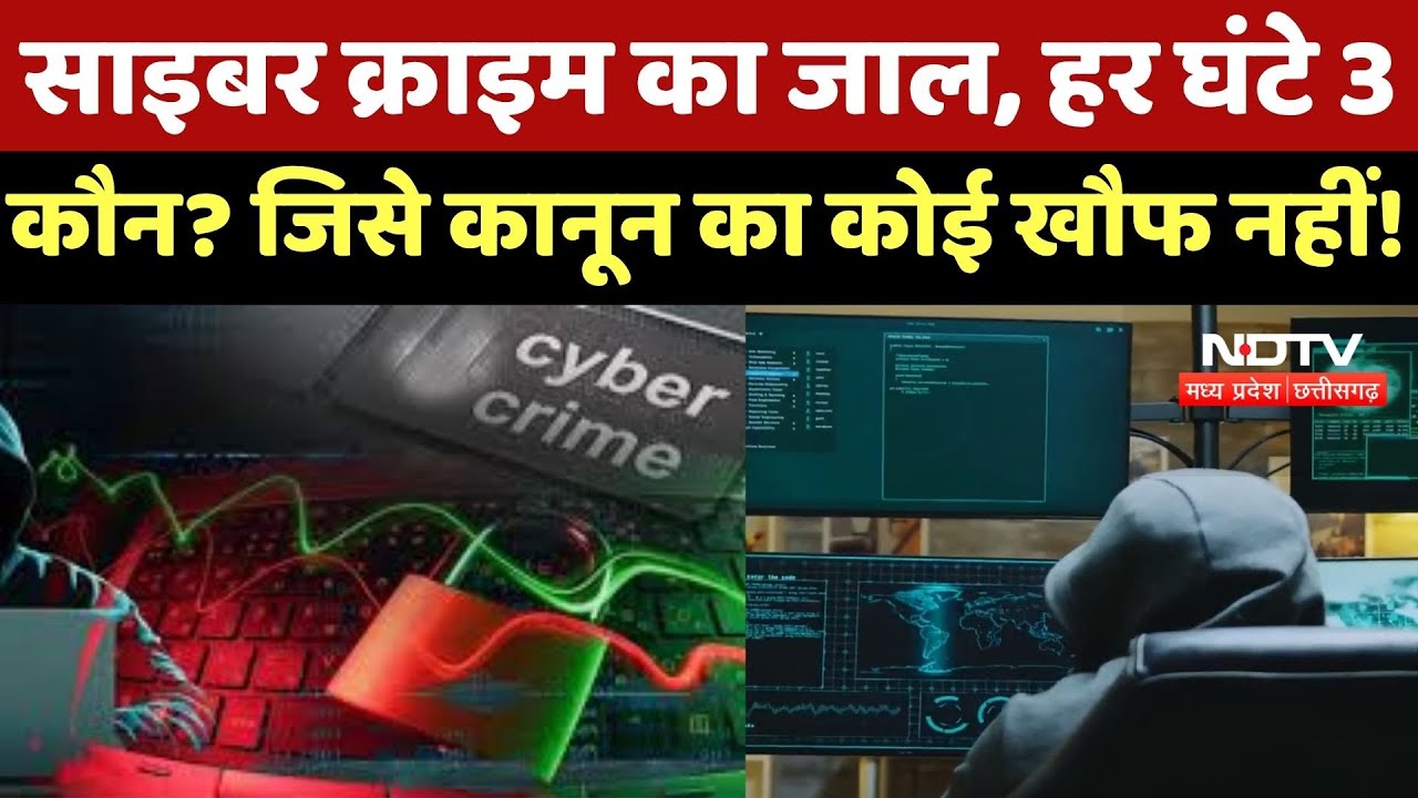 Cyber Crime in Chhattisgarh : साइबर क्राइम का जाल, हर Hour 3 लोग हो रहे शिकार, Report चौंका देगी Cyber Crime in Chhattisgarh : साइबर क्राइम का जाल, हर Hour 3 लोग हो रहे शिकार, Report चौंका देगी
