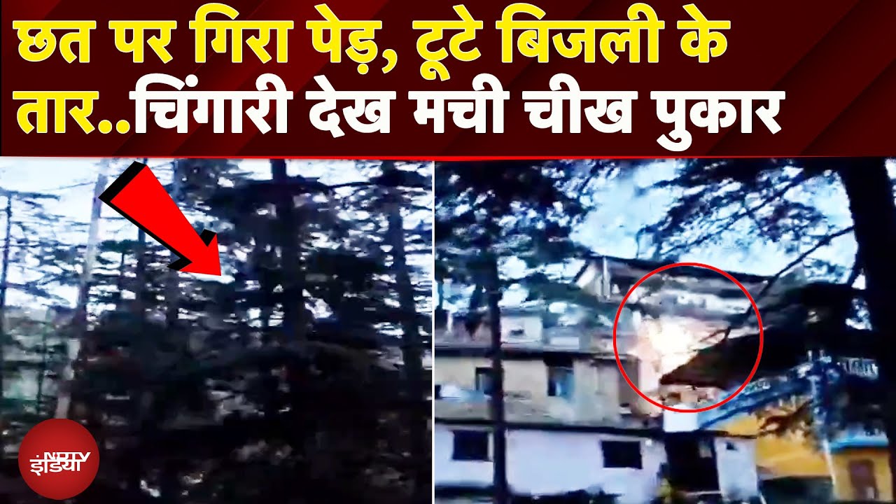 Himachal Pradesh: Shimla में भारी बारिश से घर की छत पर गिरा पेड़, बिजली के तारों से निकली चिंगारी Himachal Pradesh: Shimla में भारी बारिश से घर की छत पर गिरा पेड़, बिजली के तारों से निकली चिंगारी
