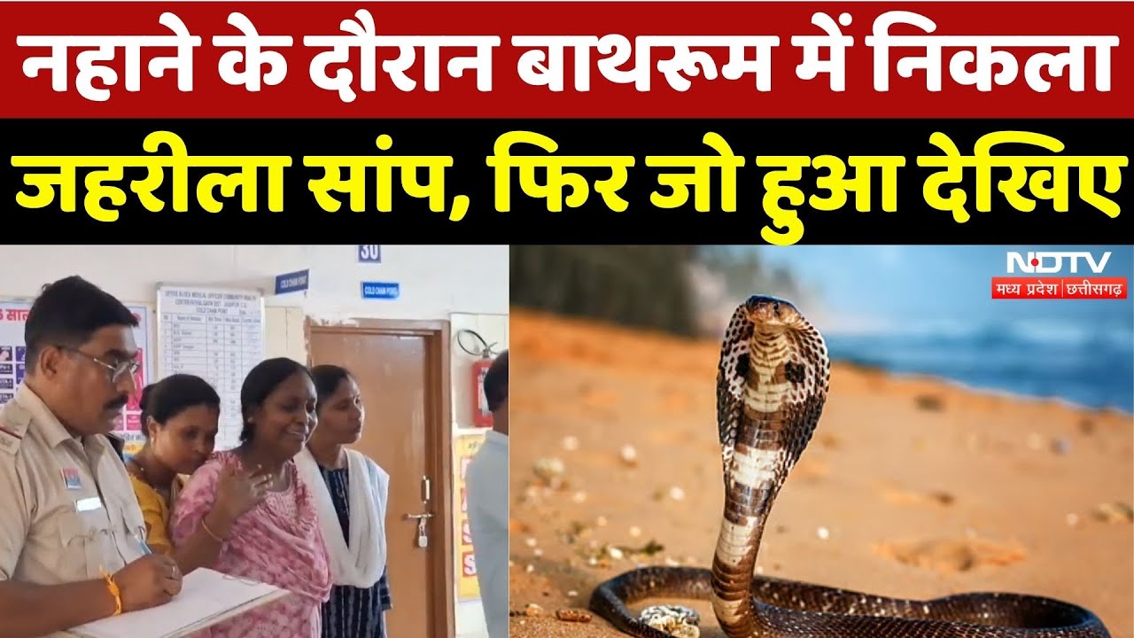 Jashpur News: नहाने के दौरान बाथरूम में निकला जहरीले सांप से सामना, हुई मौत | Chhattisgarh | Snake Jashpur News: नहाने के दौरान बाथरूम में निकला जहरीले सांप से सामना, हुई मौत | Chhattisgarh | Snake