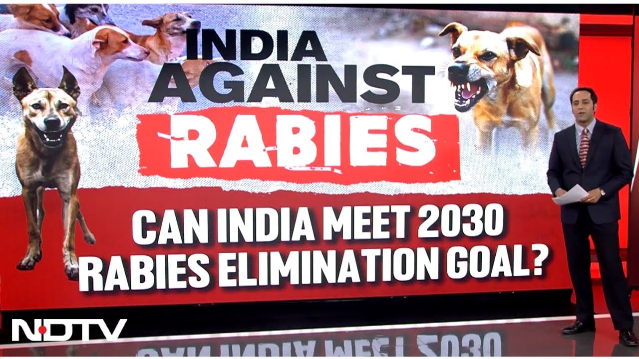Video : 10 Chilling Truths Expose Why India Remains the Global Rabies Capital