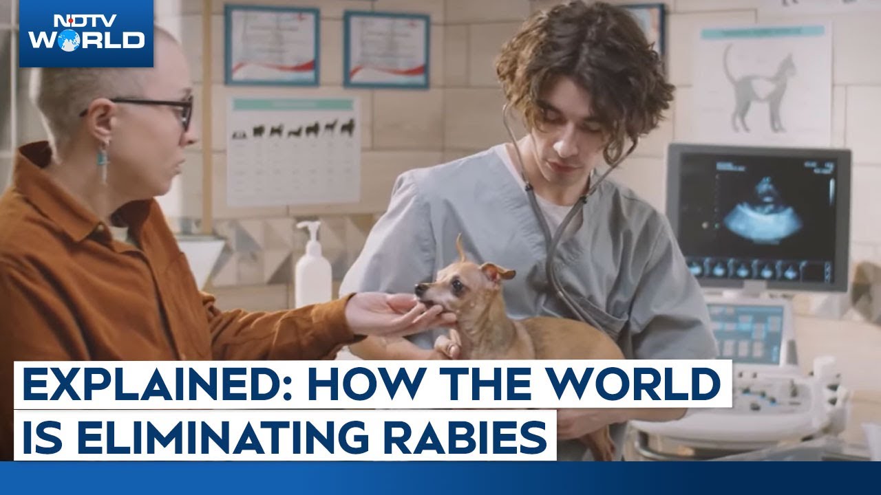 Video : Explained: How Countries Around the Worlds are Eliminating Rabies Threat