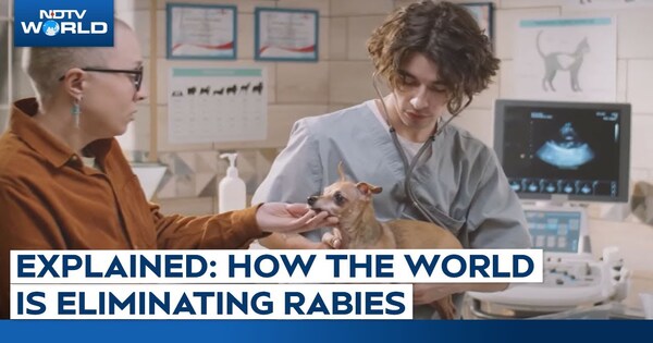 Explained: How Countries Around the Worlds are Eliminating Rabies Threat