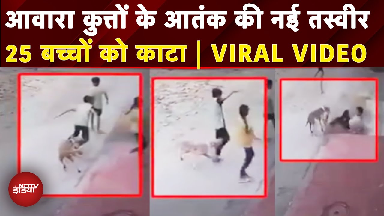 Dog Attack Viral Video: Stray Dogs का आतंक, Bhilwara में आवारा कुत्ते ने कई बच्चों को बनाया निशाना