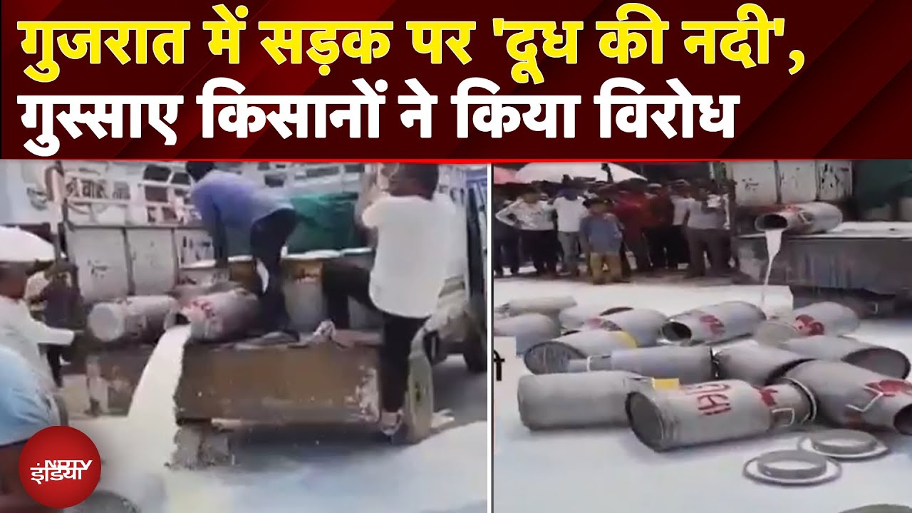 Gujarat Milk Protest: दूध की सही कीमत नहीं मिलने पर गुस्साए किसानों ने सड़क पर बहा दी 'दूध की नदी'
