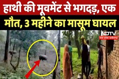 Anuppur News: Elephant की मूवमेंट से भगदड़, एक मौत, 3 महीने का मासूम घायल | Breaking | MP News Anuppur News: Elephant की मूवमेंट से भगदड़, एक मौत, 3 महीने का मासूम घायल | Breaking | MP News