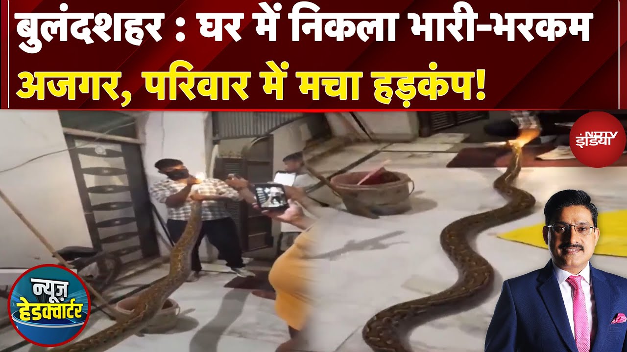 Bulandshahr News: घर में निकला भारी-भरकम अजगर, परिवार में मचा हड़कंप! | News Headquarter