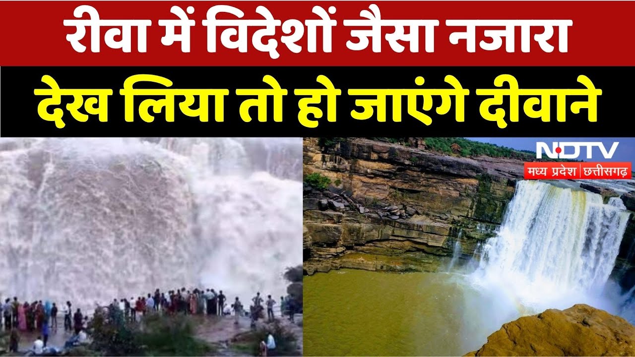 Rewa News: Purva Waterfall की ये खूबसूरती लोगों को कैसे बना रही दीवाना? | MP | Rain | Monsoon 2025