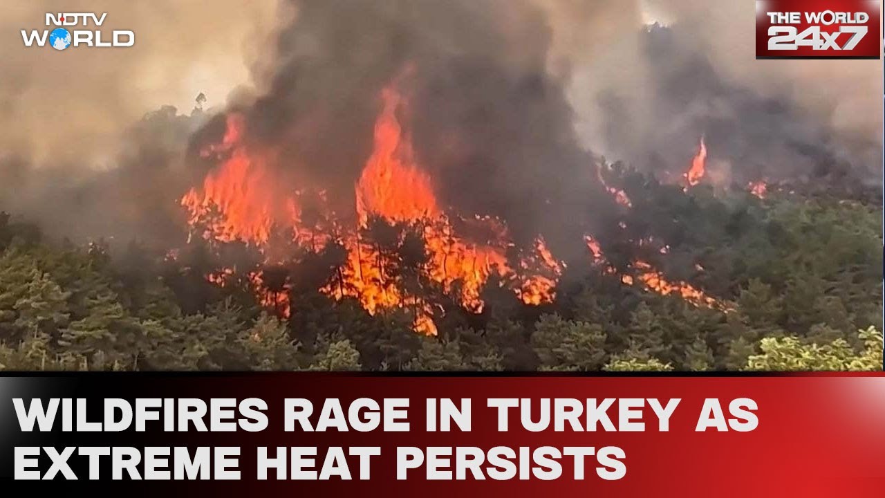 Turkey Wildfire News | Wildfires Rage In Turkey As Extreme Heat Persists