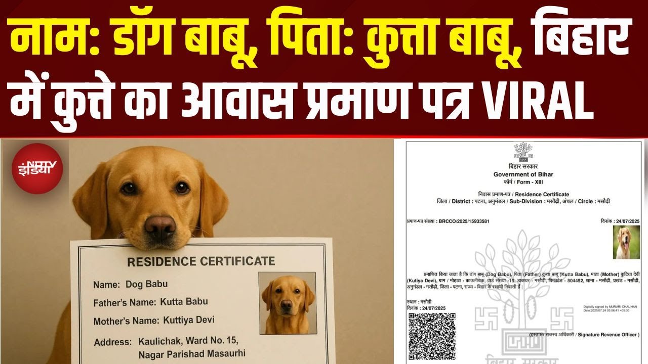 Patna का 'Dog Babu..,'  Bihar में कुत्ते को मिला आवास प्रमाण पत्र, अधिकारियों में हड़कंप!