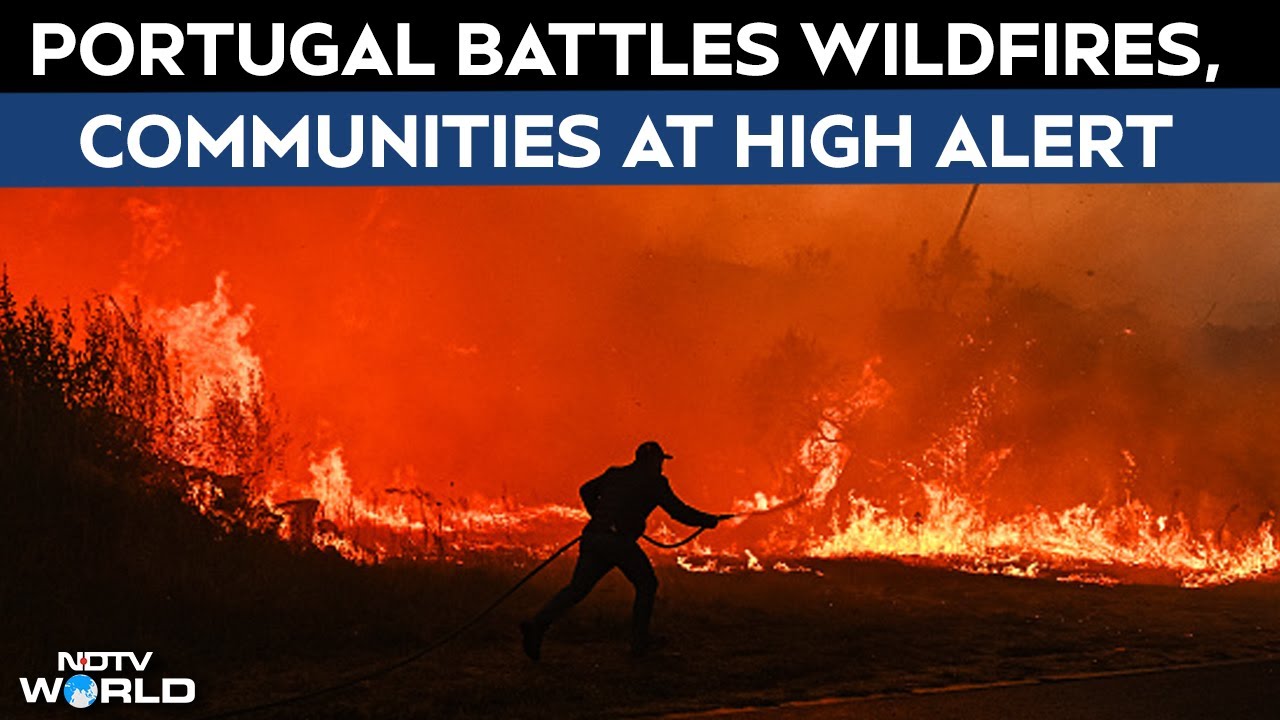Portugal Wildfires | More Than 2,000 Firefighters Battle Wildfires Across Portugal