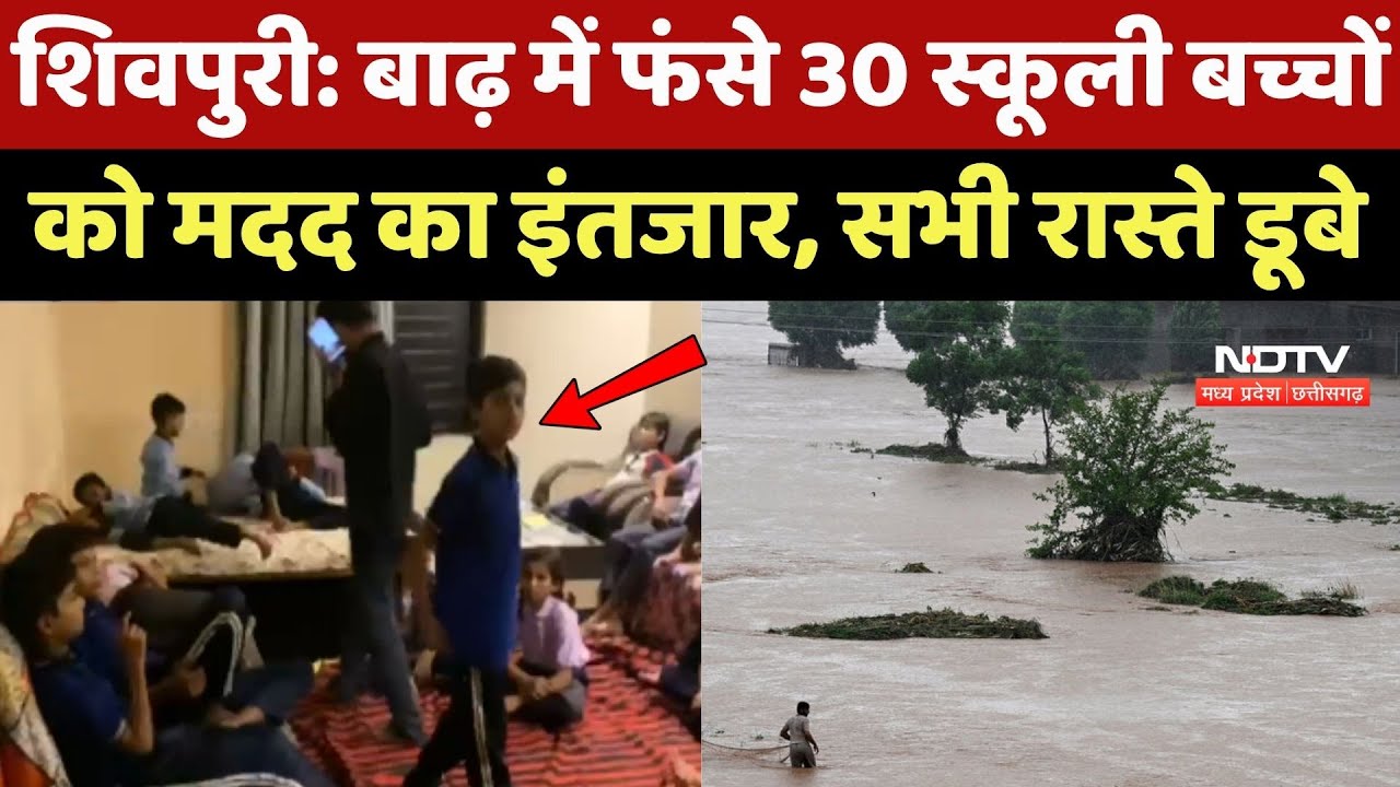 Heavy Rain: Shivpuri में Flood में फंसे 30 स्कूली बच्चों को मदद का इंतजार, सभी रास्ते डूबे Heavy Rain: Shivpuri में Flood में फंसे 30 स्कूली बच्चों को मदद का इंतजार, सभी रास्ते डूबे