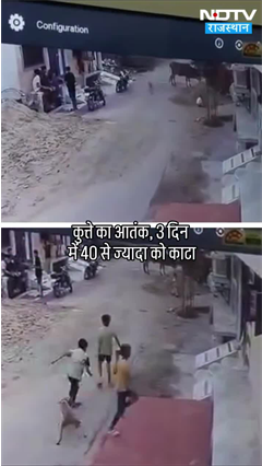 Bhilwara में आवारा कुत्ते का आतंक, 3 दिन में 40 से ज्यादा लोगों को काटा | Rajasthan | Viral Video