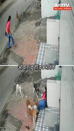 Indore में आवारा कुत्तों का आतंक, छात्रा पर किया हमला, CCTV में कैद घटना | Viral Video | SHORTS