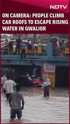 Video: Viral Video: People Climb Car Roofs To Escape Rising Water In Gwalior