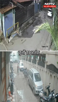Video: Indore में कुत्तों का LIVE आतंक! CCTV में कैद दिल दहलाने वाला हमला, बच्चे और युवती बने शिकार