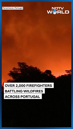Portugal Wildfires | More Than 2,000 Firefighters Battle 3 Large Wildfires Across Portugal