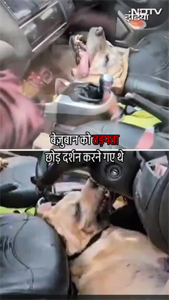 मानवता को मारकर गए पूजा करने! | Trending News | Viral Reel | Viral Shorts Video मानवता को मारकर गए पूजा करने! | Trending News | Viral Reel | Viral Shorts Video