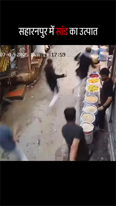 UP : सहारनपुर में दो सांडों की लड़ाई में एक व्यापारी घायल हुआ | Viral News | Viral Shorts