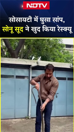 Sonu Sood की सोसाइटी में घुसा सांप, एक्टर ने खुद किया रेस्क्यू, सोशल मीडिया पर वीडियो किया शेयर Sonu Sood की सोसाइटी में घुसा सांप, एक्टर ने खुद किया रेस्क्यू, सोशल मीडिया पर वीडियो किया शेयर