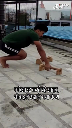 Exercise का वीडियो बना रहा था लड़का, शातिर बंदर आया और Phone लेकर फरार | Viral Video