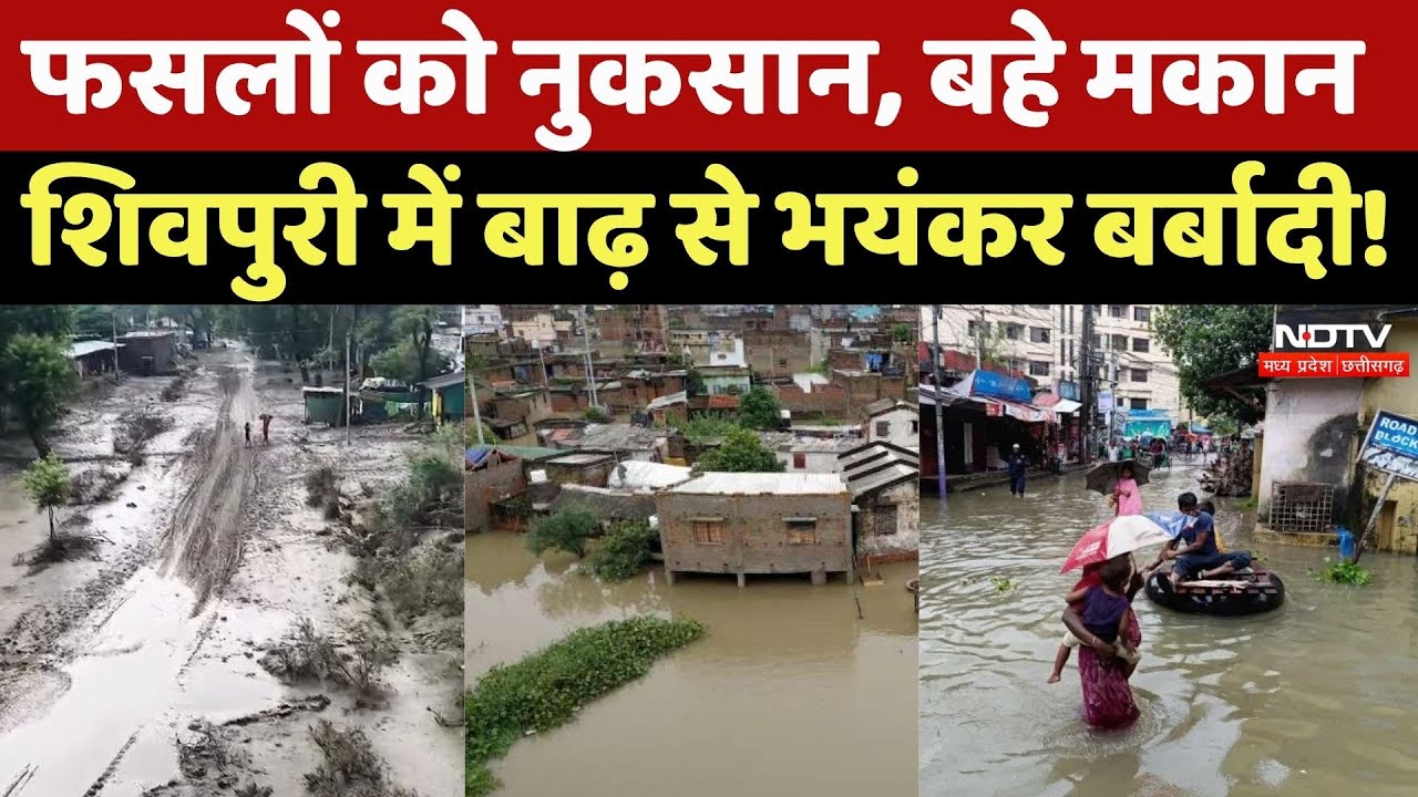 Shivpuri Flood: शिवपुरी में बाढ़ से तबाही का ये मंजर दिल दहला देगा! Heavy Rain | Monsoon 2025