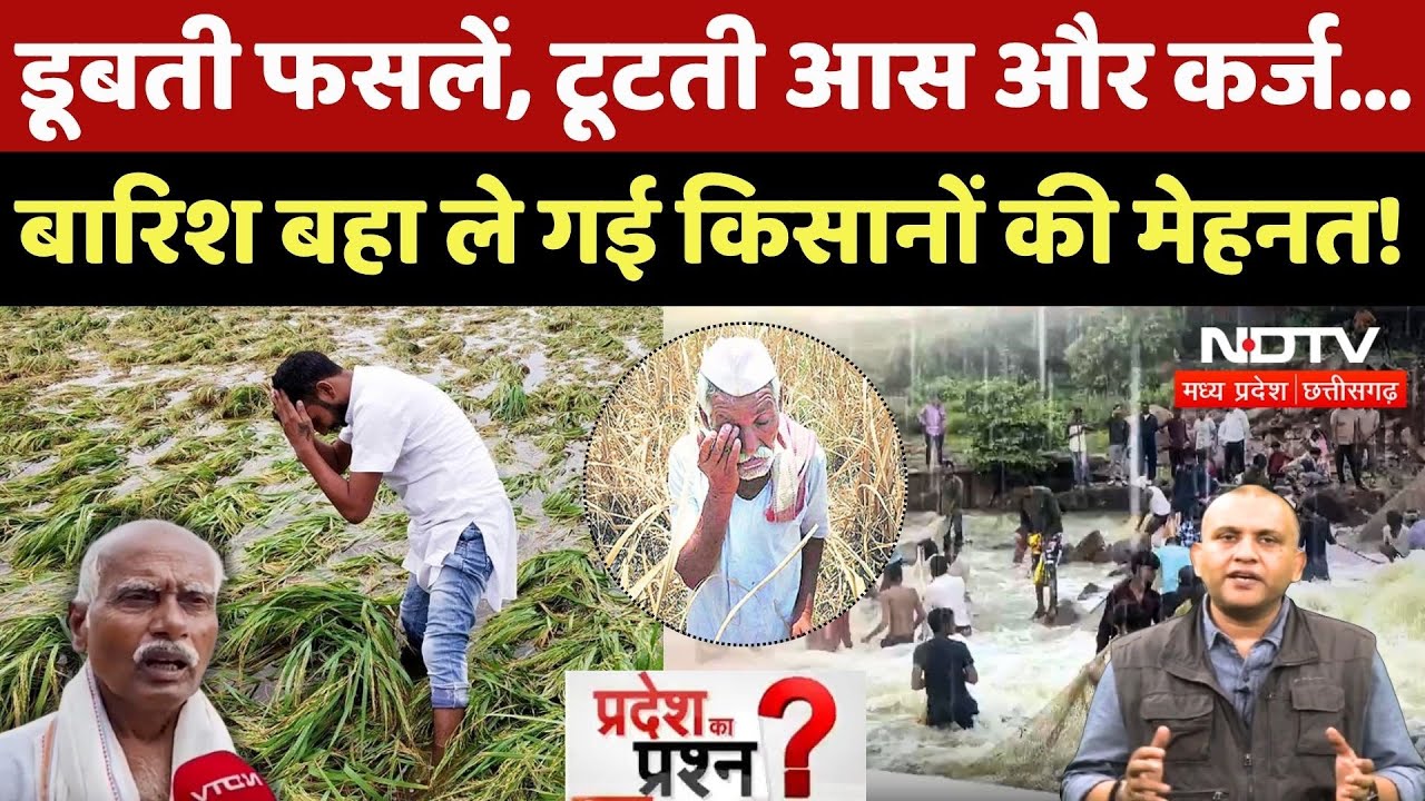 MP Flood: बाढ़-बारिश से किसान बर्बाद, पानी में बह गई मेहनत! | Pradesh Ka Prashn | Farmers | Rain |MP MP Flood: बाढ़-बारिश से किसान बर्बाद, पानी में बह गई मेहनत! | Pradesh Ka Prashn | Farmers | Rain |MP