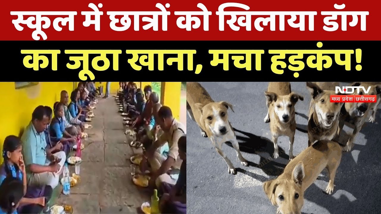 Baloda Bazar के School में 78 Students को खिलाया गया Dogs का जूठा खाना, मचा हड़कंप! CG Top News
