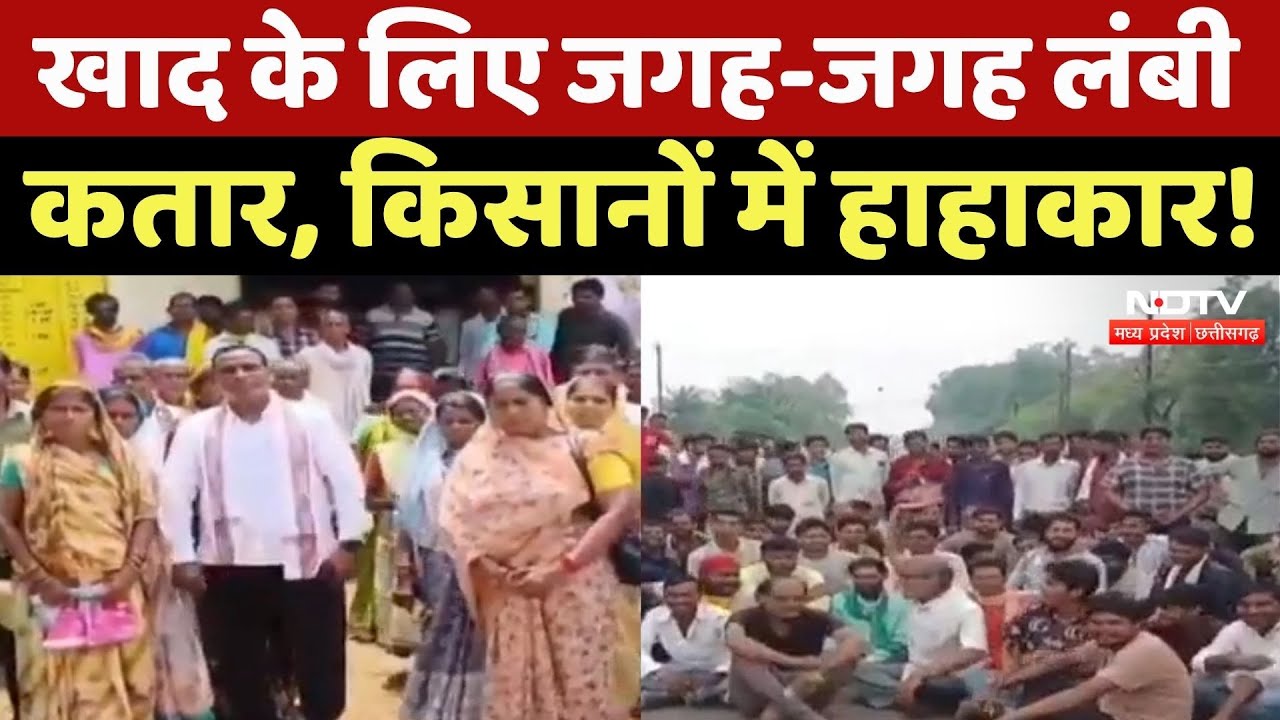 MP-Chhattisgarh के किसान खाद को लेकर परेशान, सरकार से बार-बार लगा रहे गुहार! Farmesr News | Latest