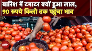 Tomato Price Hike: बारिश में टमाटर क्यों हुआ लाल, Delhi में 90 रुपये किलो तक पहुंचा भाव, हाहाकार