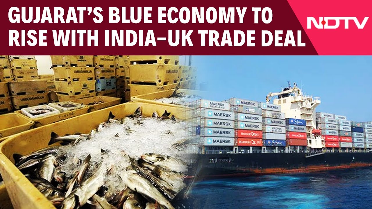 Gujarat's Blue Economy On The Rise: Marine Exports To Soar With India-UK Trade Deal