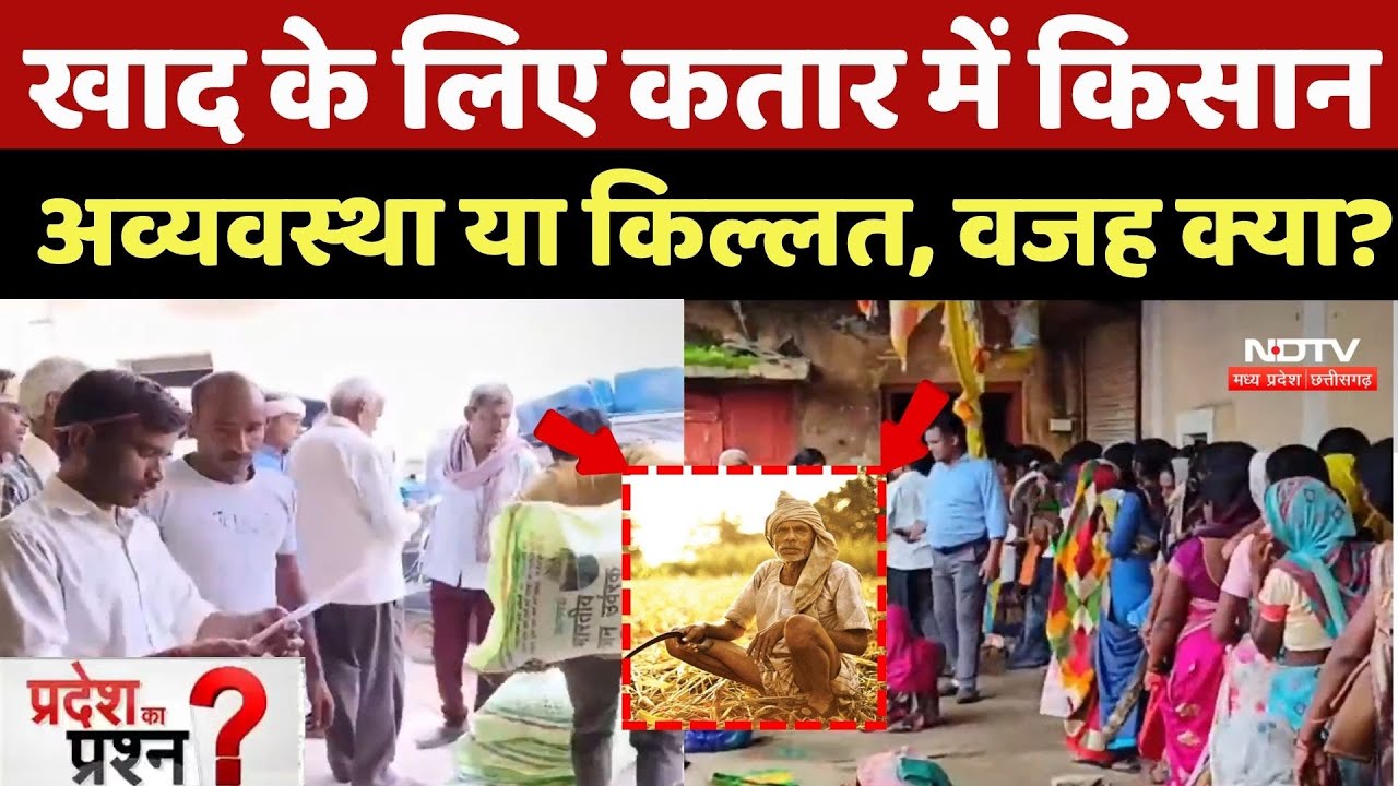 Fertilizer Crisis In MP: खाद के लिए कतार में किसान, अववस्था या किल्लत, असल वजह क्या? Kisan Protest