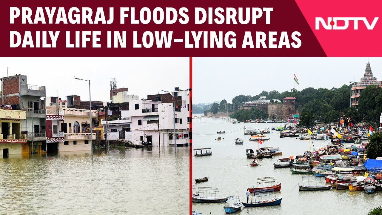 Video: Prayagraj Floods | Floods Disrupt Daily Life In Prayagraj; Residents In Low-lying Areas Await Relief