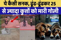 Jhunjhunu Dogs Killer Viral Video: अजब सनक! 25 कुत्तों की गोली मारकर हत्या |Dog Shooting | Top News Jhunjhunu Dogs Killer Viral Video: अजब सनक! 25 कुत्तों की गोली मारकर हत्या |Dog Shooting | Top News