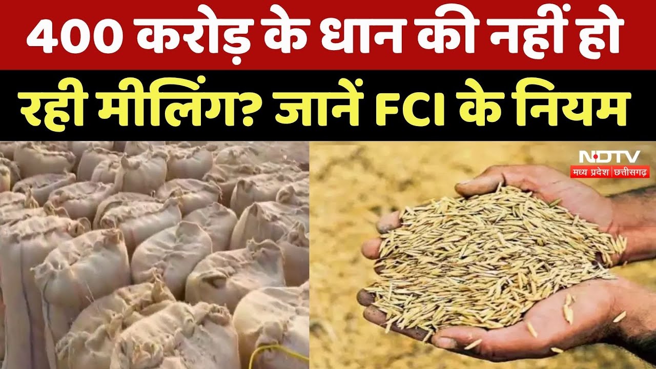 Jabalpur News: Warehouse में रखा है  17 लाख क्विंटल धान, कब होगी मीलिंग? Paddy | MP Top NEWS | FCI Jabalpur News: Warehouse में रखा है  17 लाख क्विंटल धान, कब होगी मीलिंग? Paddy | MP Top NEWS | FCI