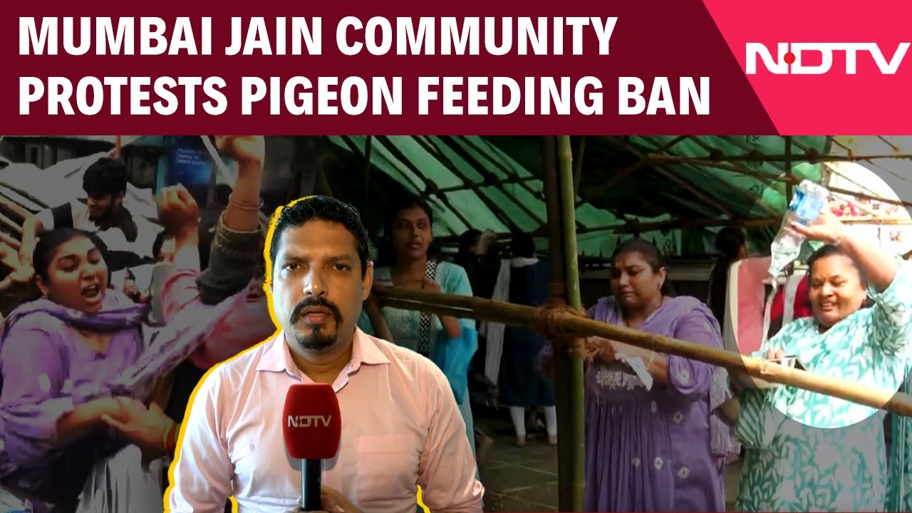 Mumbai Pigeon Feeding Ban | Jain Community Protests Pigeon Feeding Ban, Protesters Defy Court Order