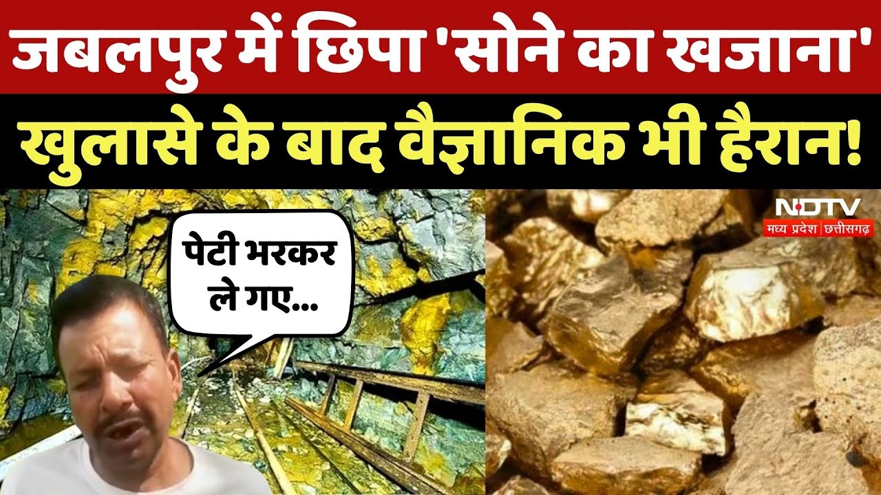 Madhya Pradesh के Jabalpur में मिला सोने का 'भंडार' क्या है मामला?| GSI | Bela Village | Latest News