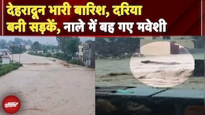 Uttarakhand Rain: देहरादून भारी बारिश, दरिया बनी सड़कें, नाले में बह गए मवेशी