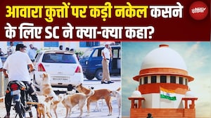 आवारा कुत्तों पर Supreme Court का सबसे सख़्त फैसला | Delhi-NCR की सड़कें होंगी Stray Dogs से खाली!