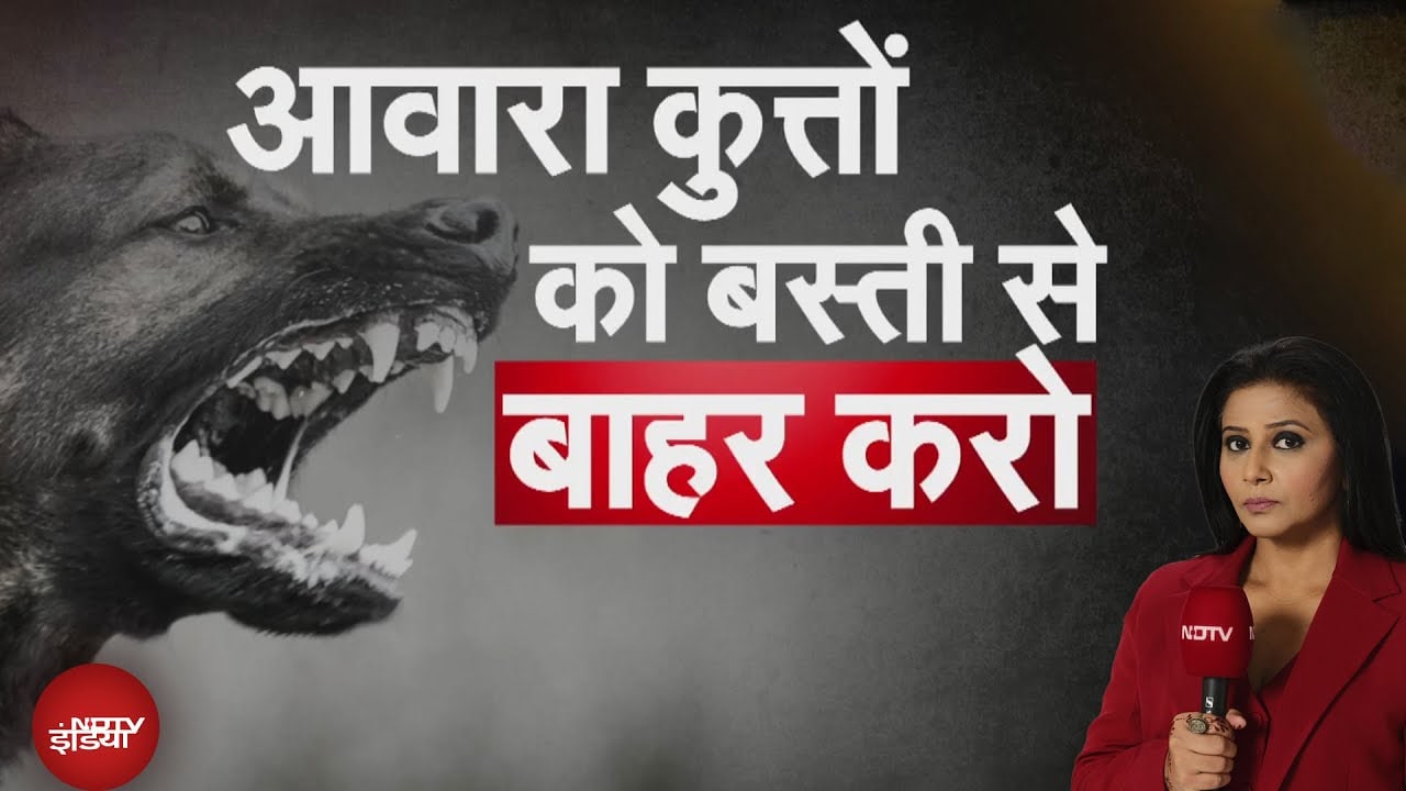 SC Decision on Stray Dogs: Delhi-NCR में दबोचे जाएंगे, बाकी शहरों में कब | Khabron Ki Khabar
