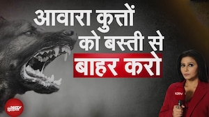 SC Decision on Stray Dogs: Delhi-NCR में दबोचे जाएंगे, बाकी शहरों में कब | Khabron Ki Khabar