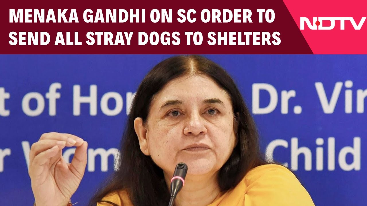 Supreme Court News | Maneka Gandhi Expresses Disappointment On Sc’s Relocation Order On Stray Dogs