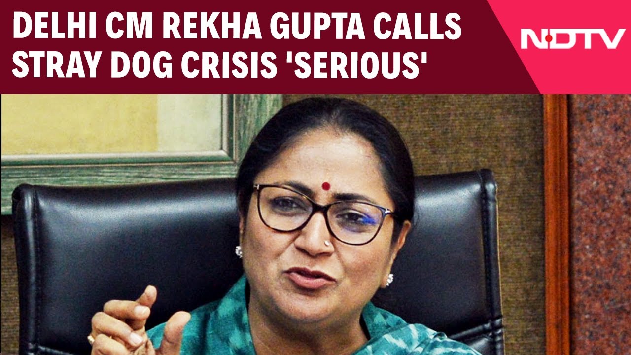 Supreme Court On Stray Dogs | Delhi CM Calls Stray Dog Crisis 'Serious', Concrete Plan Out Soon