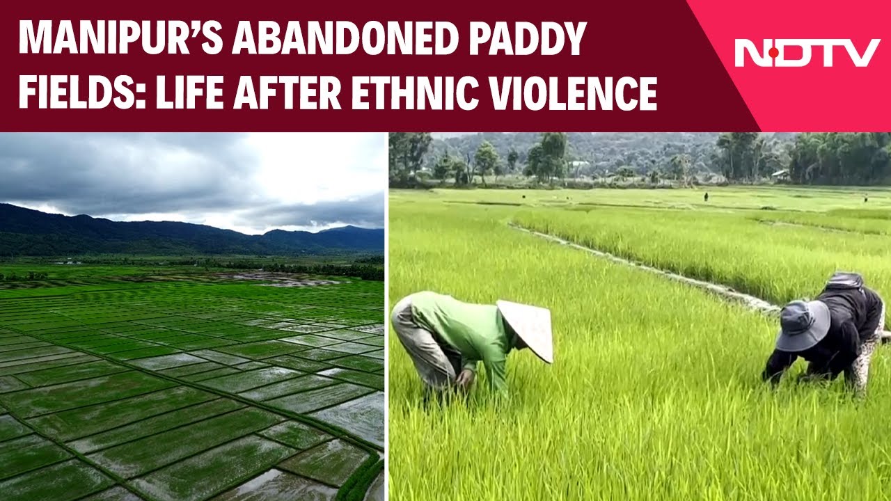 Manipur News | Ethnic Conflicts Between Kuki & Meitei Turn Fertile Farms Into No Man's Land