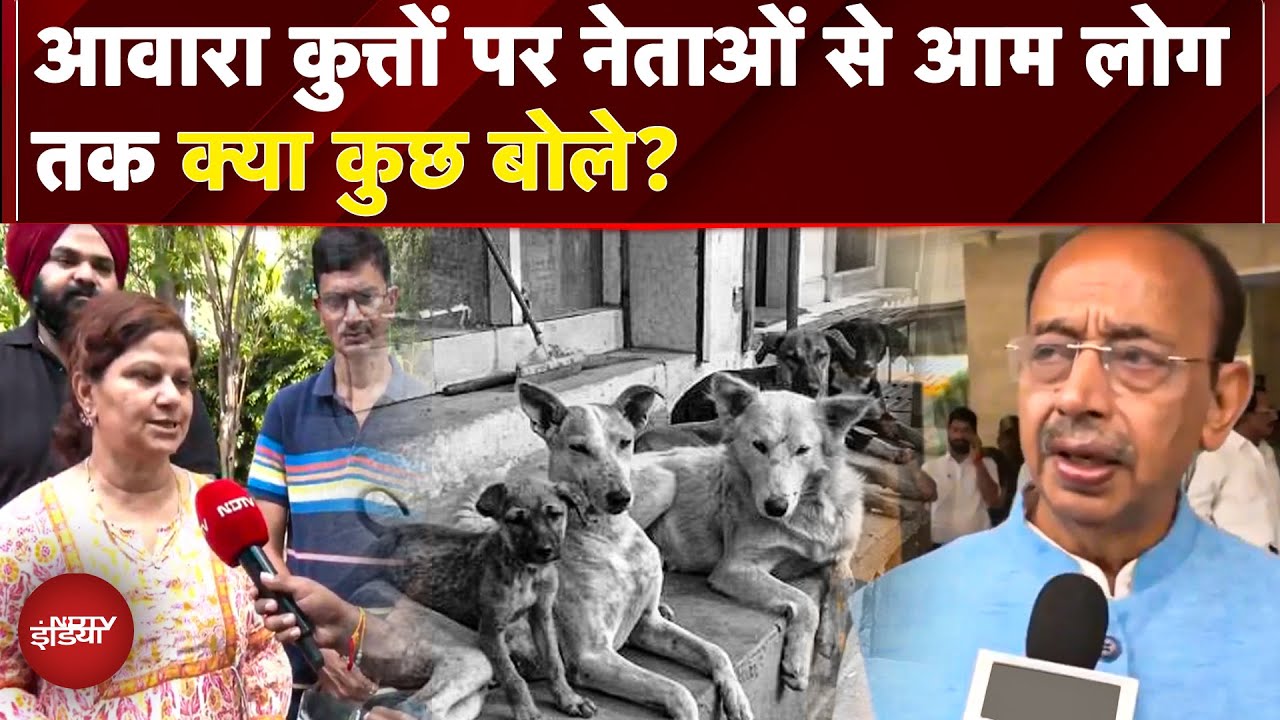 Stray Dogs पर SC का आदेश, Feeding पर सख्त गाइडलाइंस, लोगों की क्या है इसपर राय | SC On Dogs