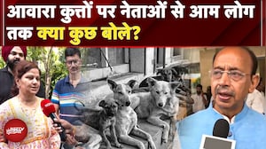 Stray Dogs पर SC का आदेश, Feeding पर सख्त गाइडलाइंस, लोगों की क्या है इसपर राय | SC On Dogs